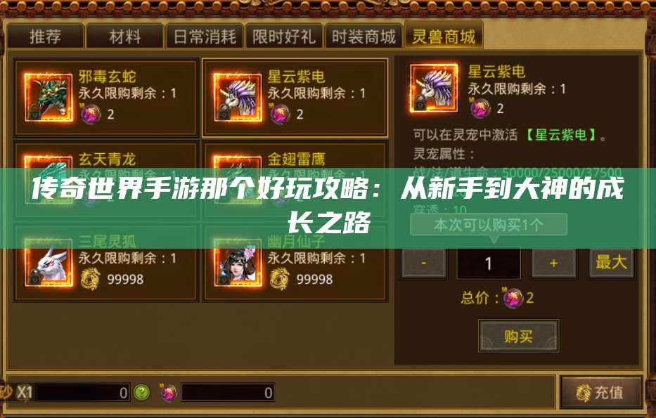 传奇世界手游那个好玩攻略：从新手到大神的成长之路 第1张